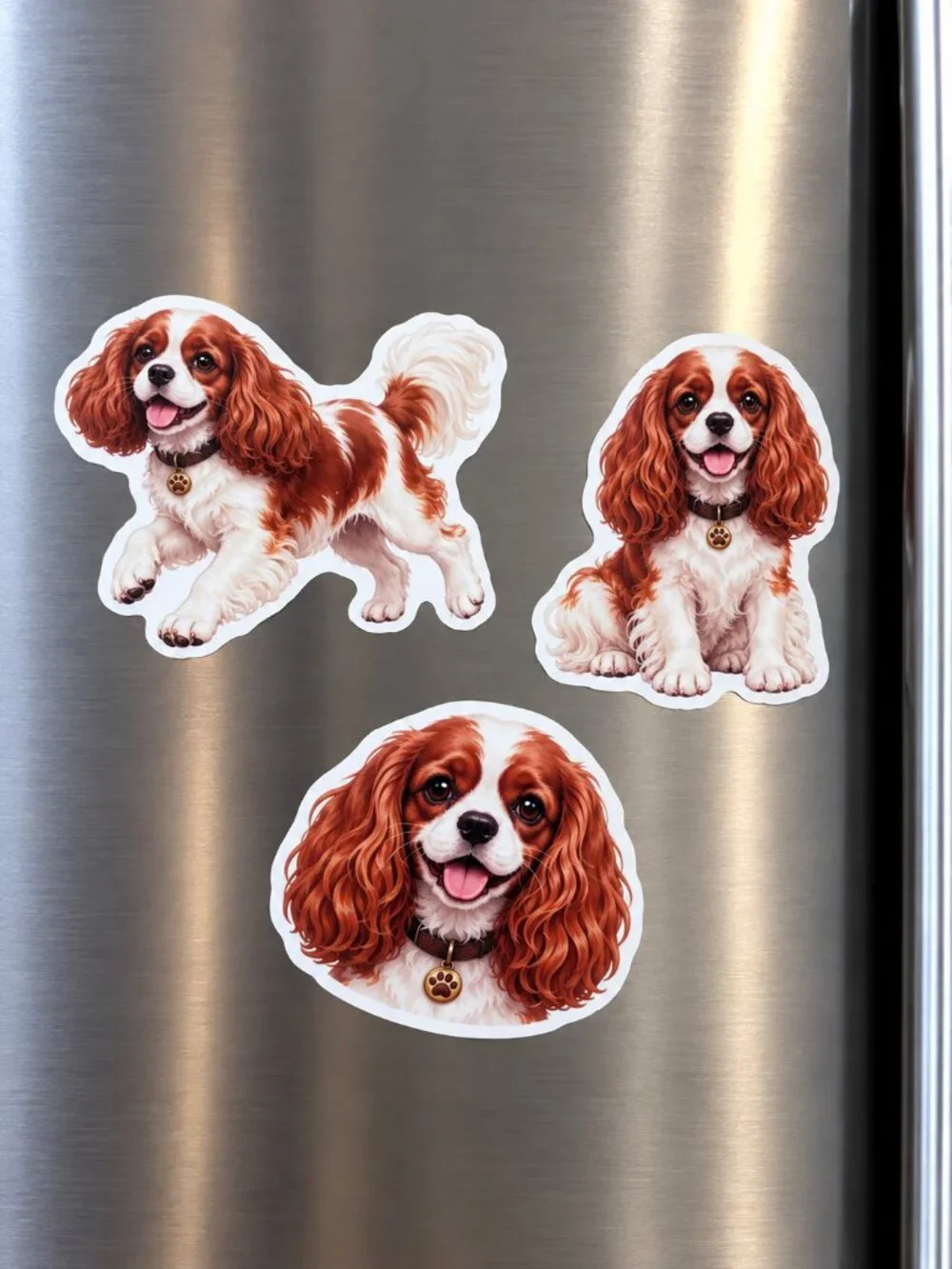 3 Girl Cavalier King Charles Spaniel Dog Fridge Magnets Blenheim Puppy Set